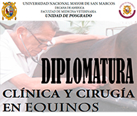 Diplomatura – Clínica y Cirugía en Equinos
