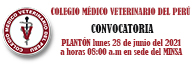 CONVOCATORIA – PLANTÓN lunes 28 de junio del 2021  a horas 08:00 a.m en sede del MINSA