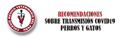 RECOMENDACIONES  SOBRE TRANSMISIÓN COVID19 – PERROS Y GATOS